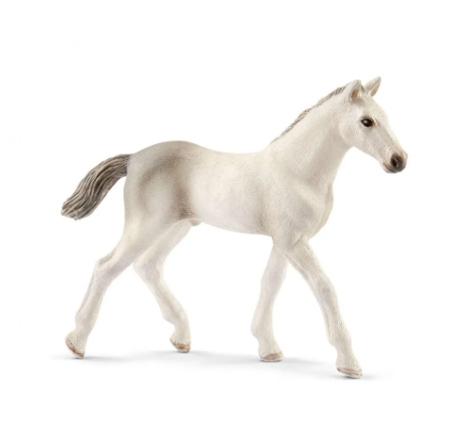 Schleich - Holsteiner Foal