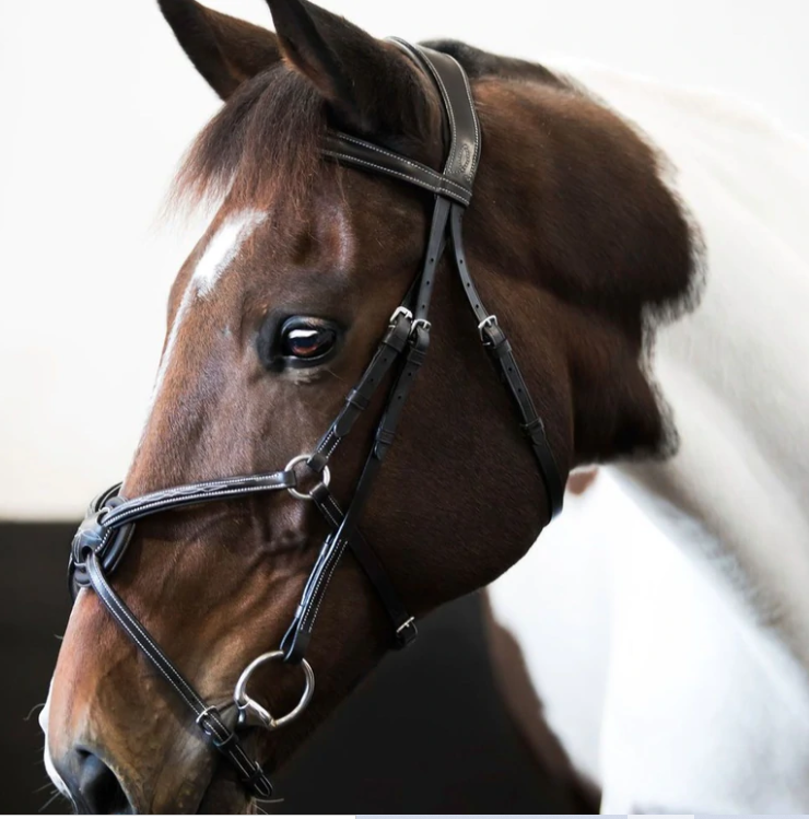 Lumiere Ava Grackle No Sheepskin Leather Bridle Standard Leather Rubber Grip Reins