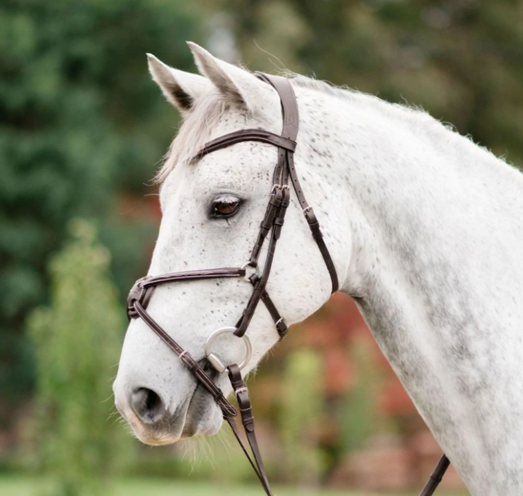 Lumiere Ava Grackle No Sheepskin Leather Bridle Standard Leather Rubber Grip Reins